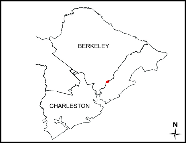 Berkeley/Charleston: Detyens at Wando