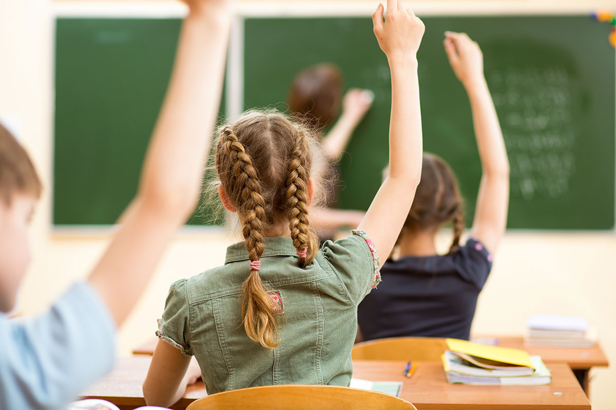 Students raising their hands in class