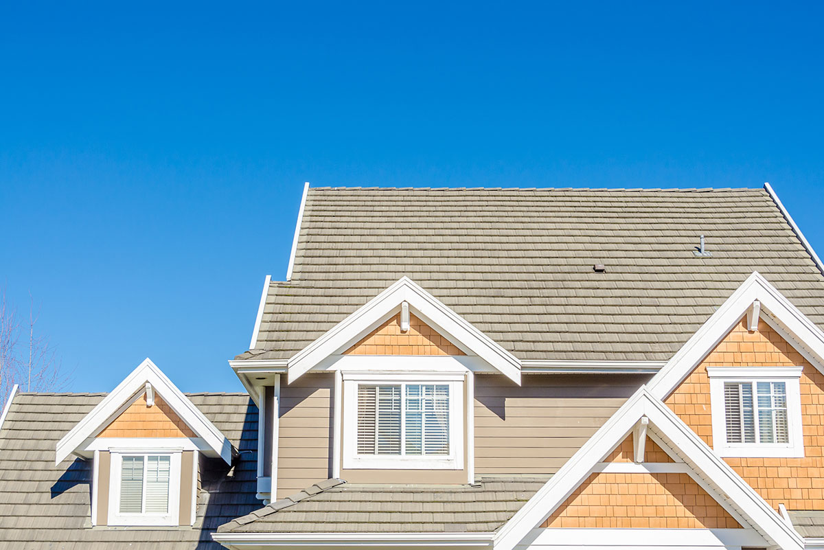 House roof and windows