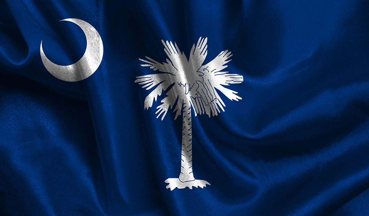 Close up of the South Carolina flag