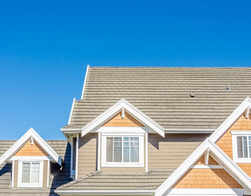 House roof and windows
