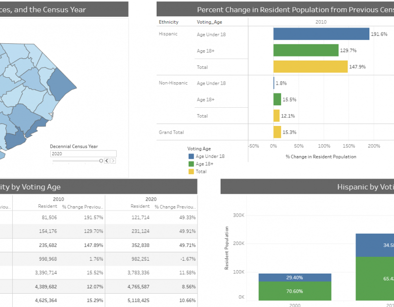 county_ethnicity_age_dashboard
