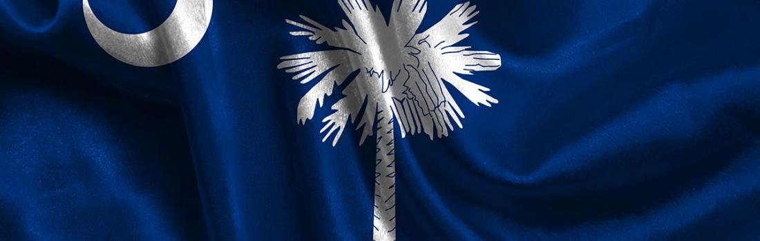 Close up of the South Carolina flag
