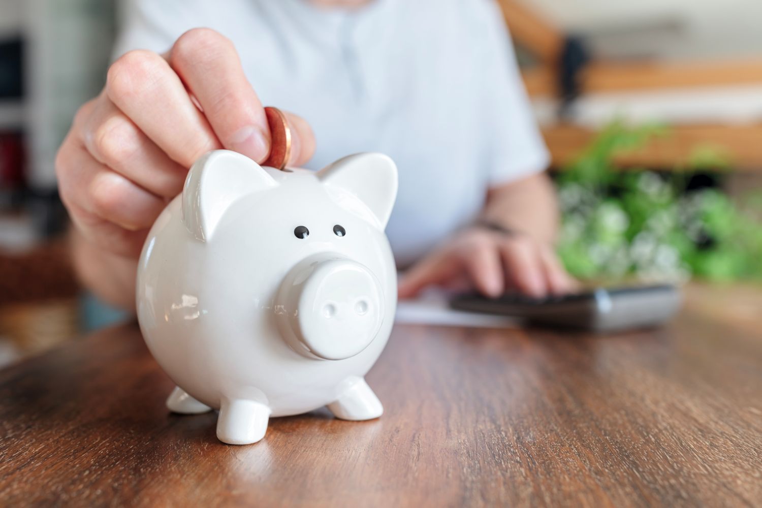 Person placing a coin in a piggy bank image
