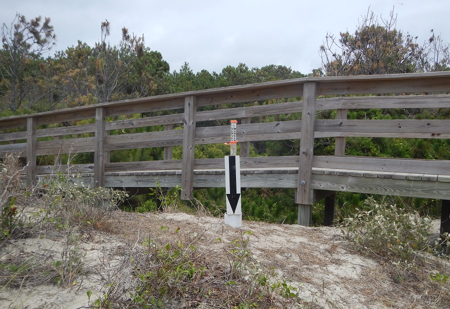 SC Geodetic Survey image