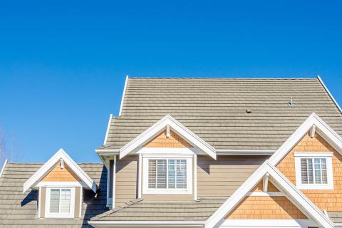 House roof and windows
